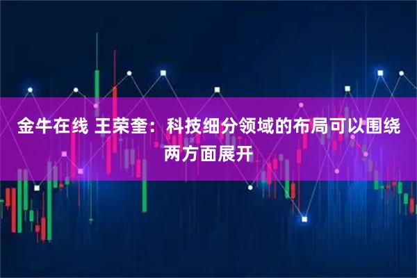 金牛在线 王荣奎：科技细分领域的布局可以围绕两方面展开