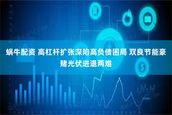 蜗牛配资 高杠杆扩张深陷高负债困局 双良节能豪赌光伏进退两难