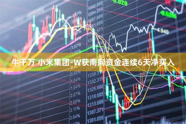 牛千万 小米集团-W获南向资金连续6天净买入