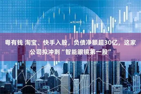 粤有钱 淘宝、快手入股，负债净额超30亿，这家公司拟冲刺“智能眼镜第一股”