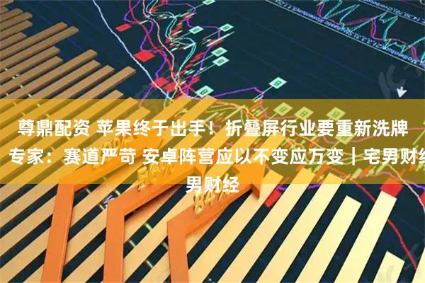 尊鼎配资 苹果终于出手！折叠屏行业要重新洗牌？专家：赛道严苛 安卓阵营应以不变应万变｜宅男财经